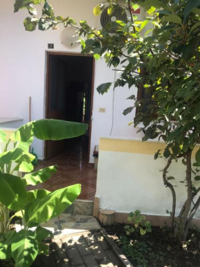 Kodra Apartments